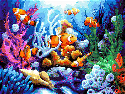 sea-9.jpg